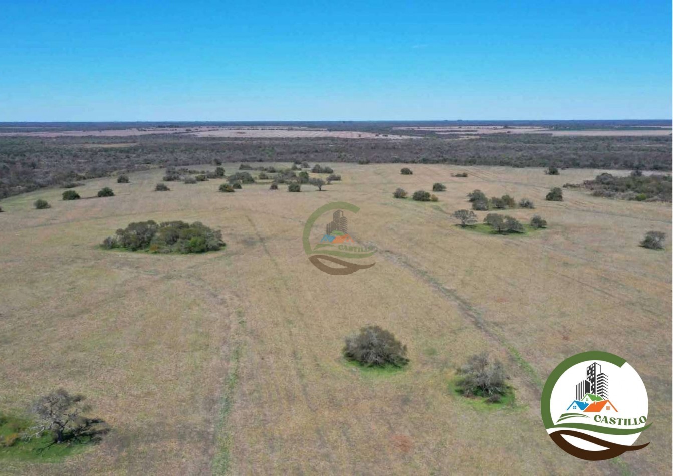 2658 ha Mixto - Entre Rios