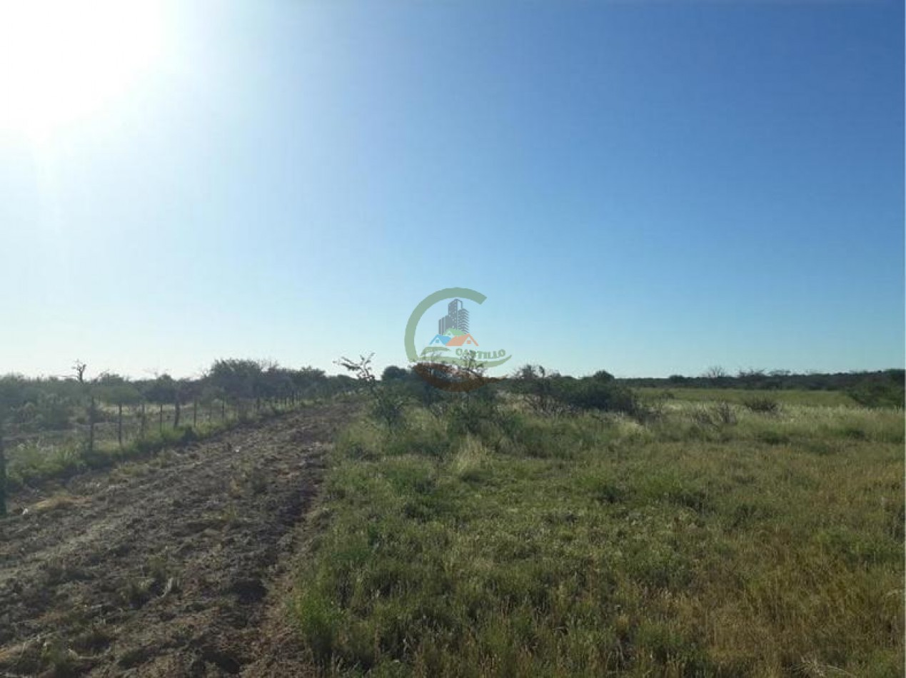 4954 Ha Ganadero - La Adela - La Pampa