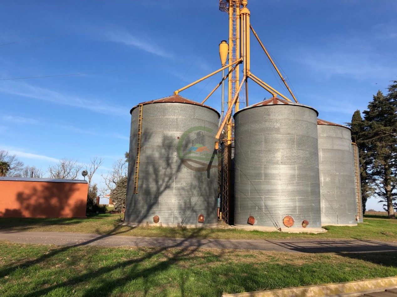 312 ha Agricolas - Cordoba