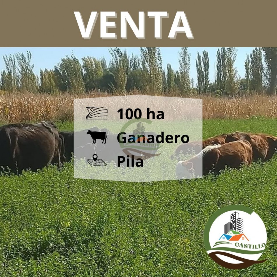 103 ha ganadera - pila