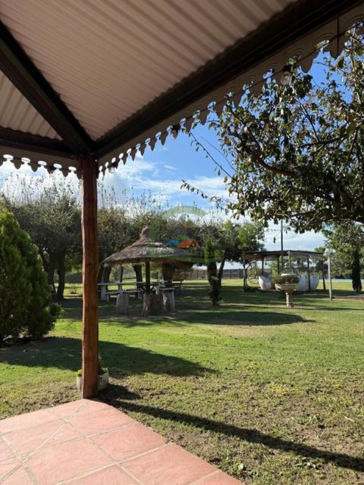59,5 Ha Agricolas - Polvaredas - Saladillo