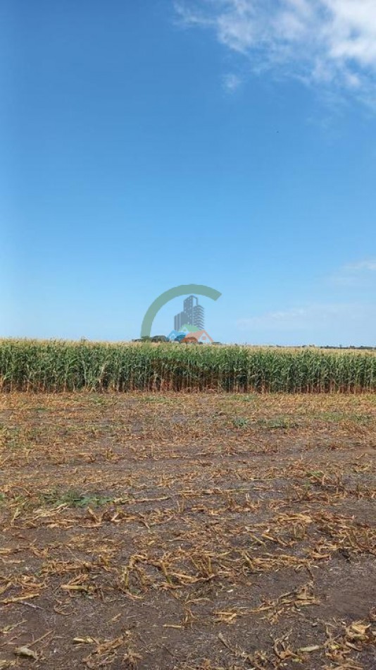 99 ha Mixto - 9 de Julio - Corbett