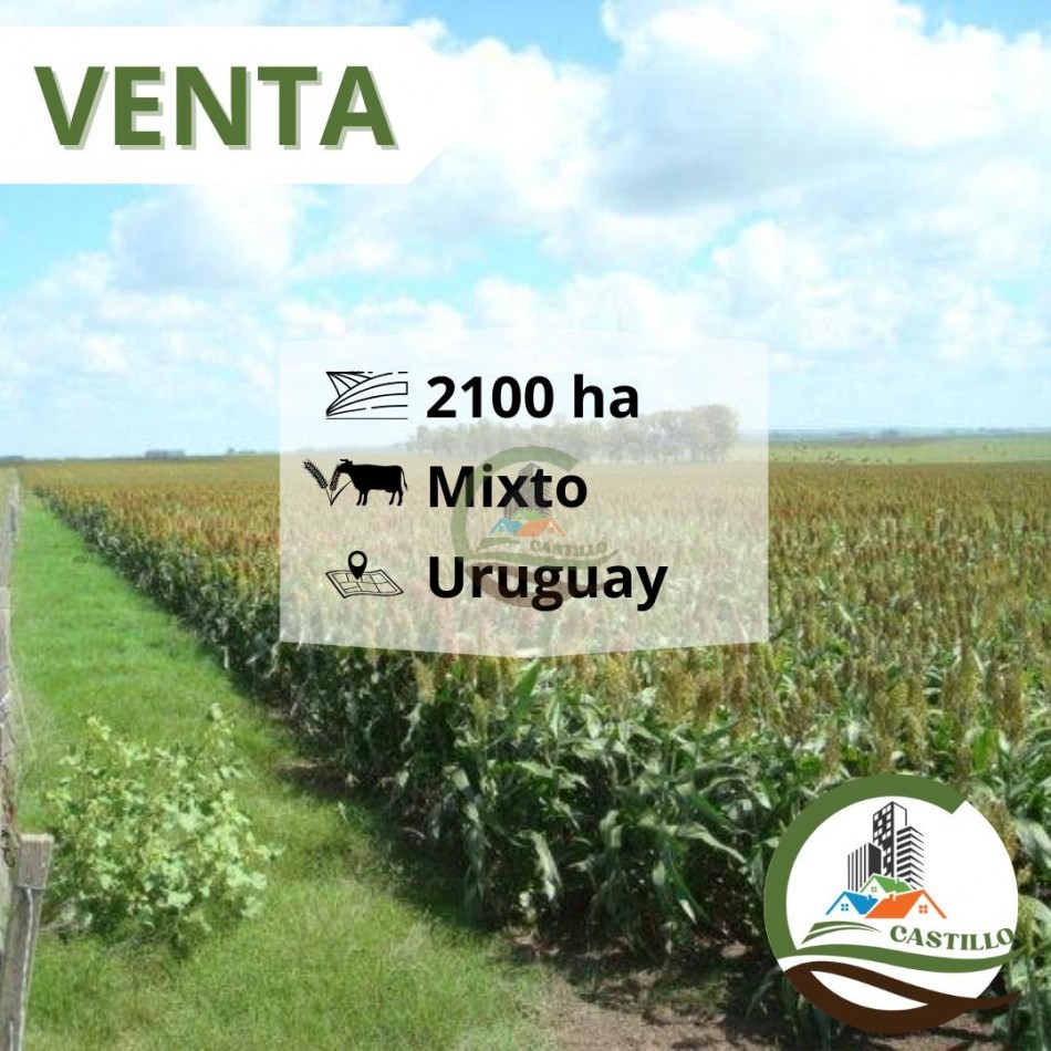 2109 ha mixtas - uruguay