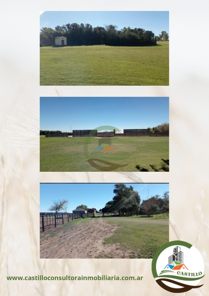 1227 ha Agricolas - villegas
