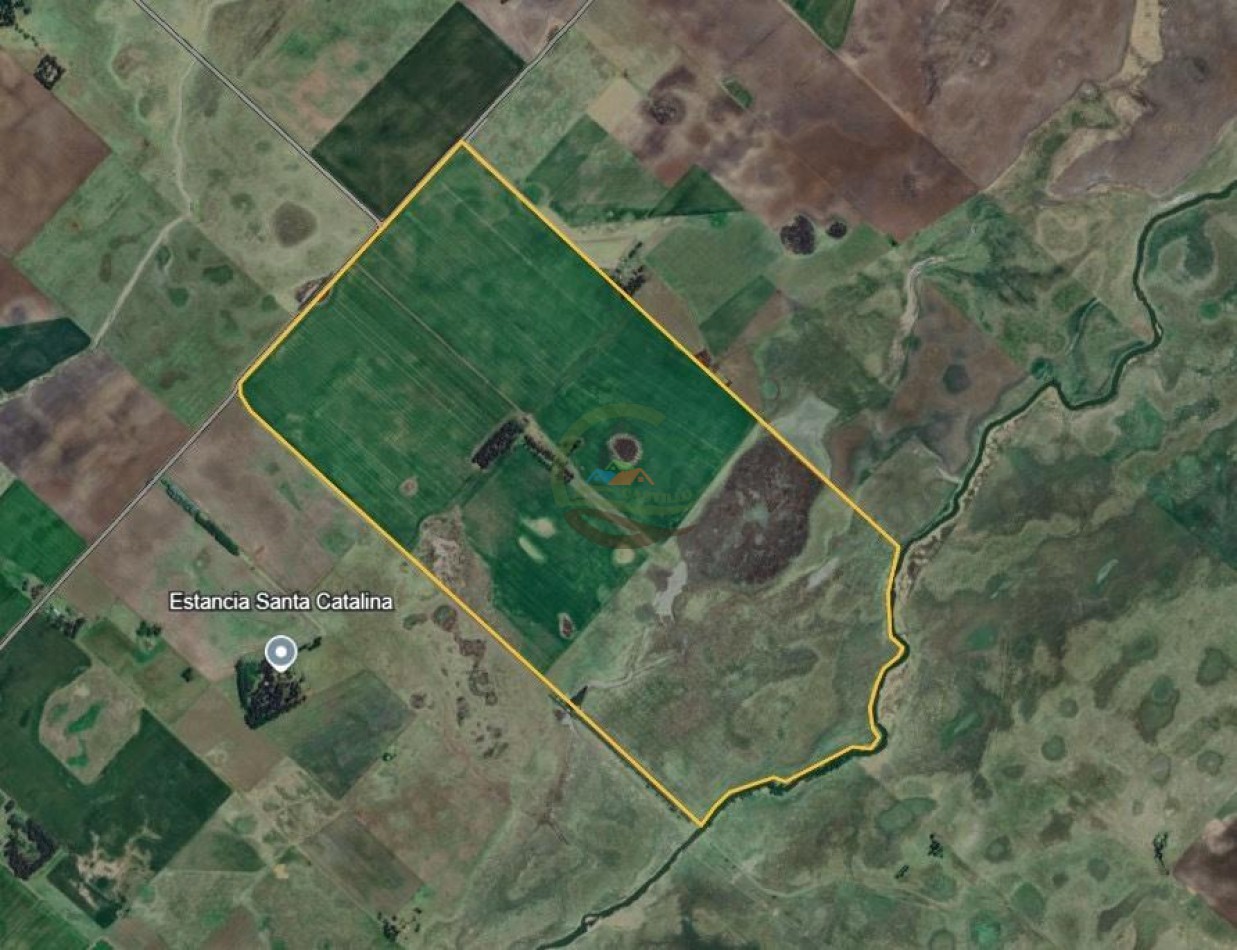 330 Ha Mixto - Bolivar