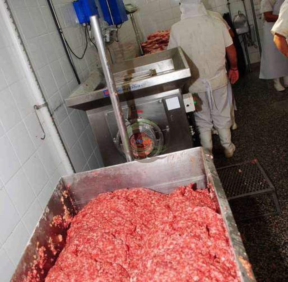 Frigorifico - con feedlot- Exportadora - La Adela - La Pampa