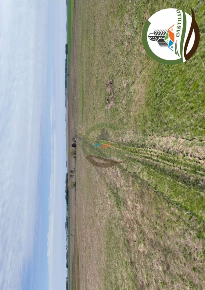 204 ha mixtas - olavarria