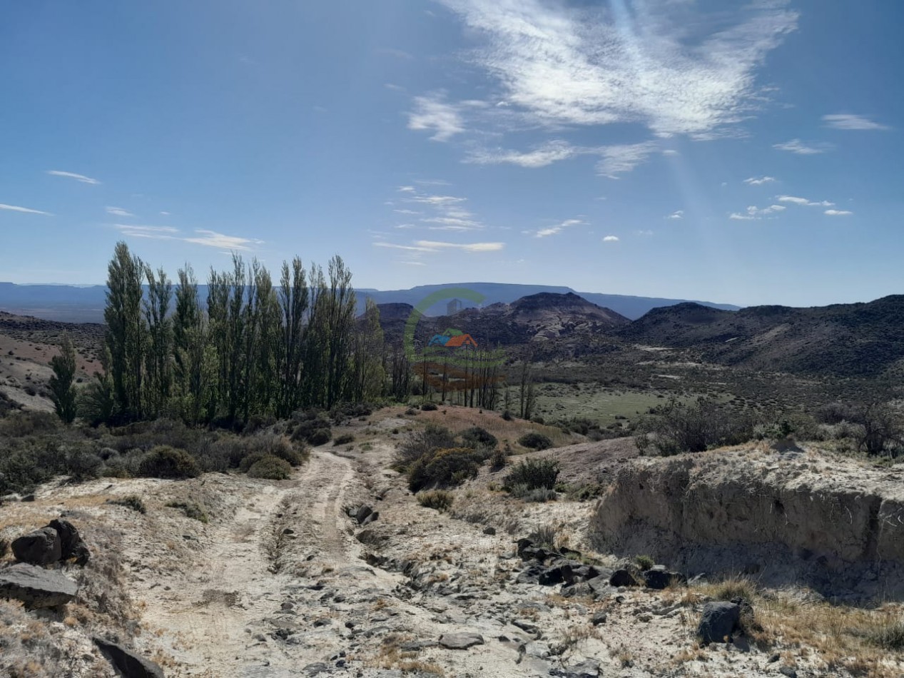 15000 ha Ganaderas - Chubut