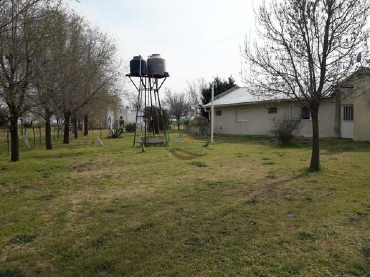 292 Ha Agricolas - Marucha - Carlos Tejedor