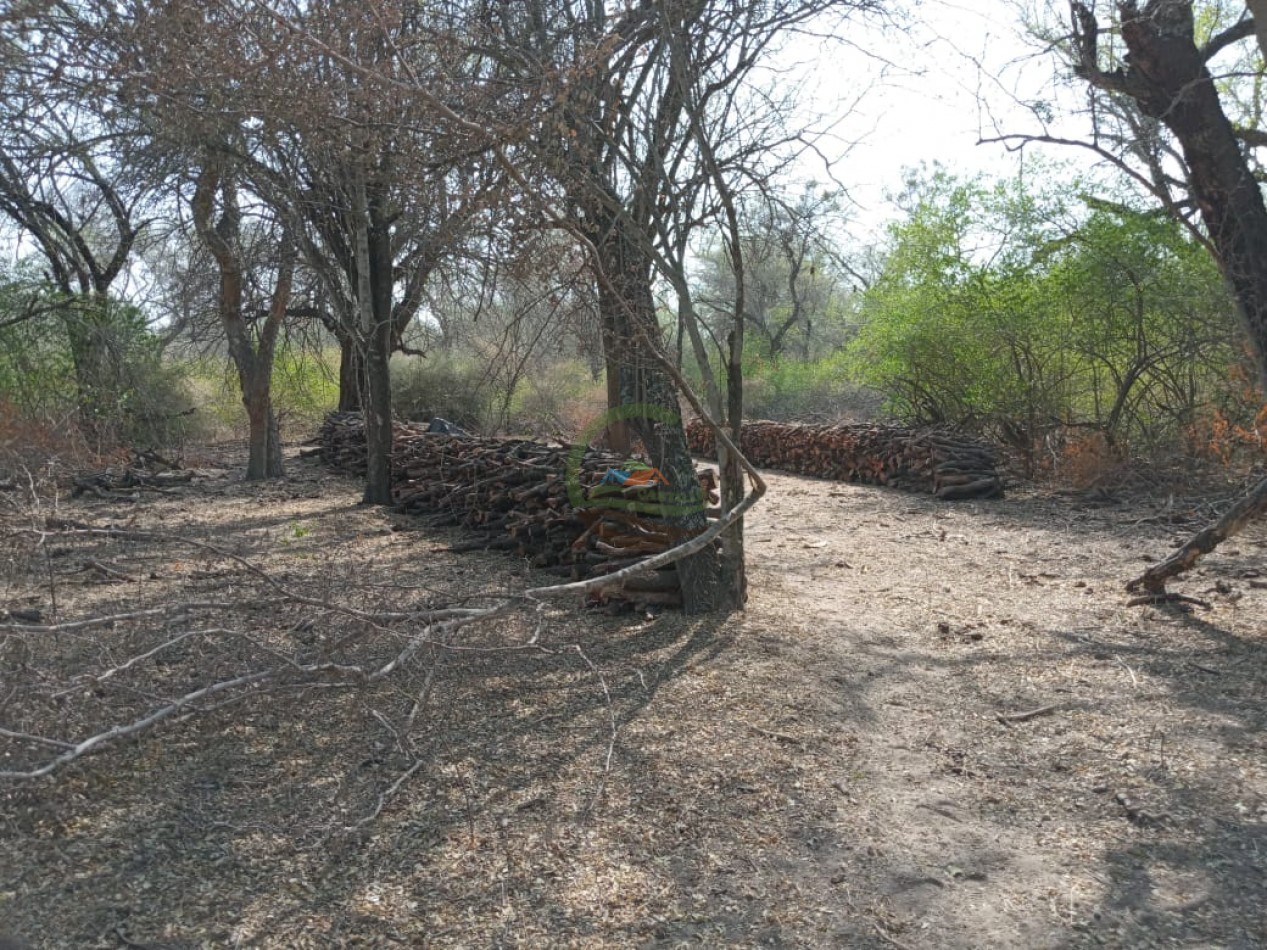 128 Ha - Sumamao - Santiago del Estero