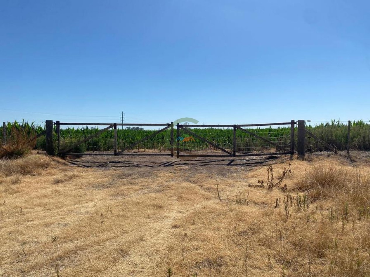 58 Ha Agricolas - Bolivar