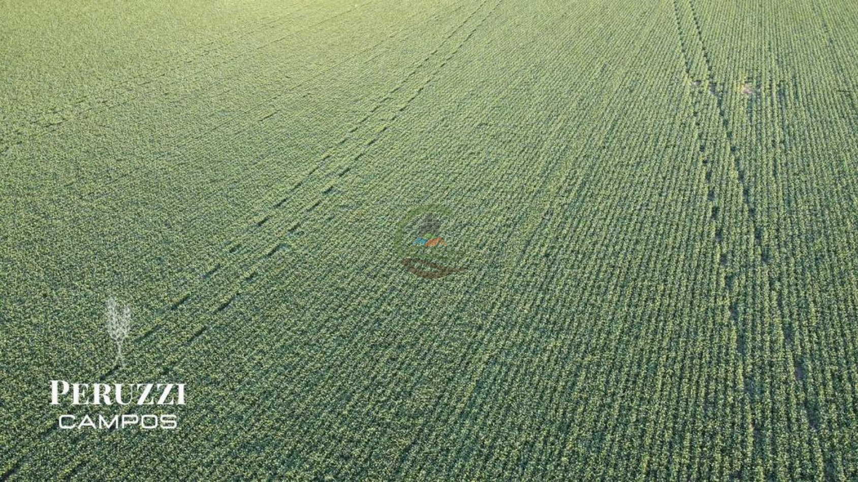 156 ha Mixtas - Diaz - San Jeronimo - Santa Fe