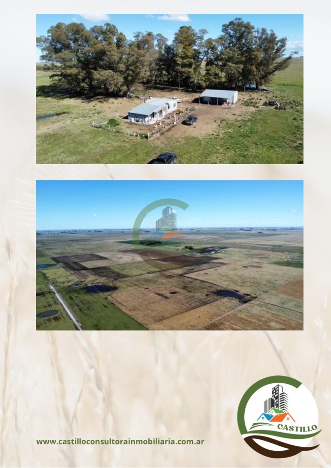 617 ha mixtas - rauch