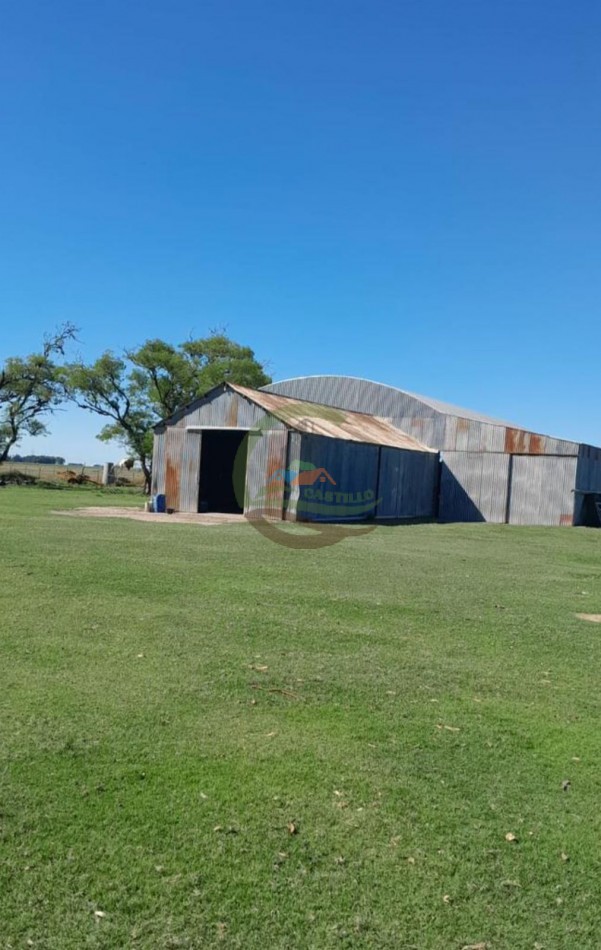 350 ha Agricolas - San Cayetano