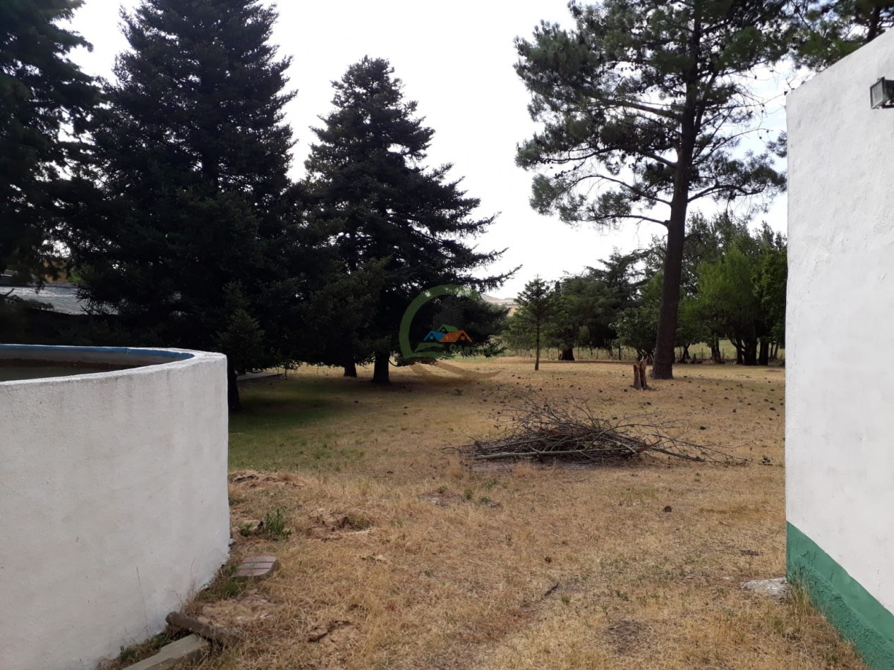 100 ha MIxtas - Sierras de la Ventana