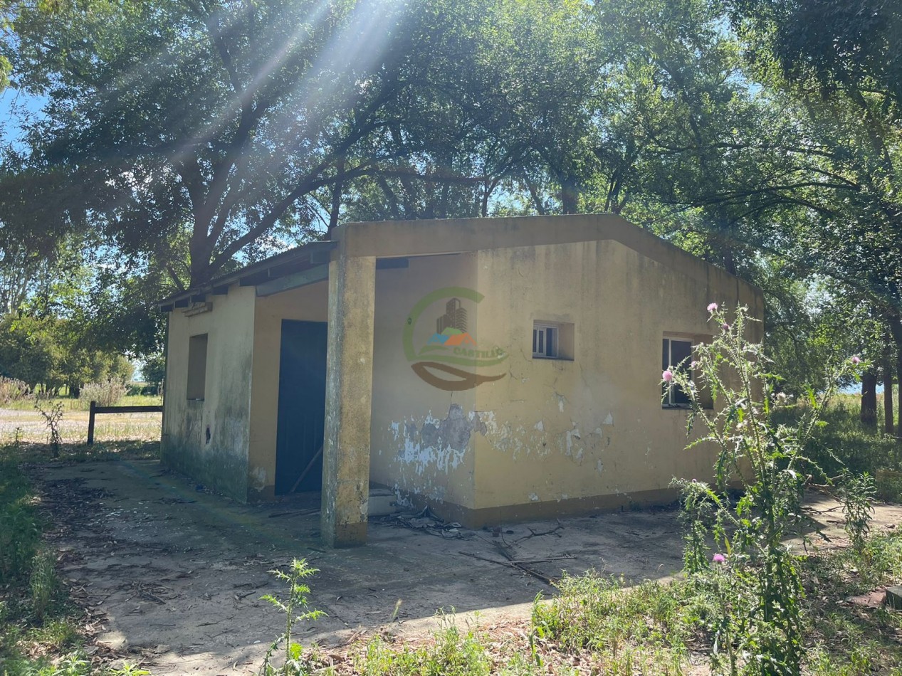 109 ha Feed Lot - Las Flores