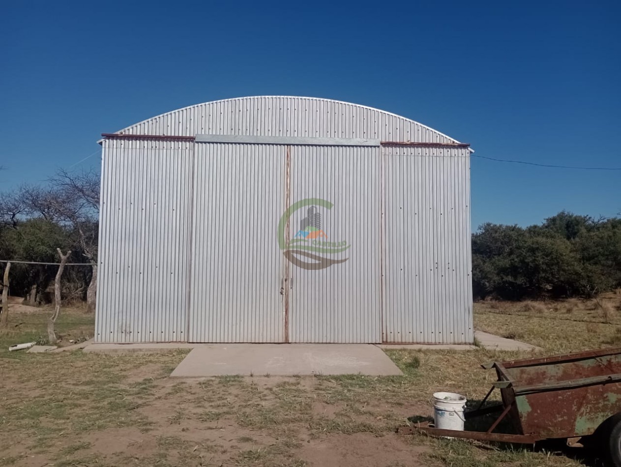 2500 ha Coto de caza - Quehue - La Pampa