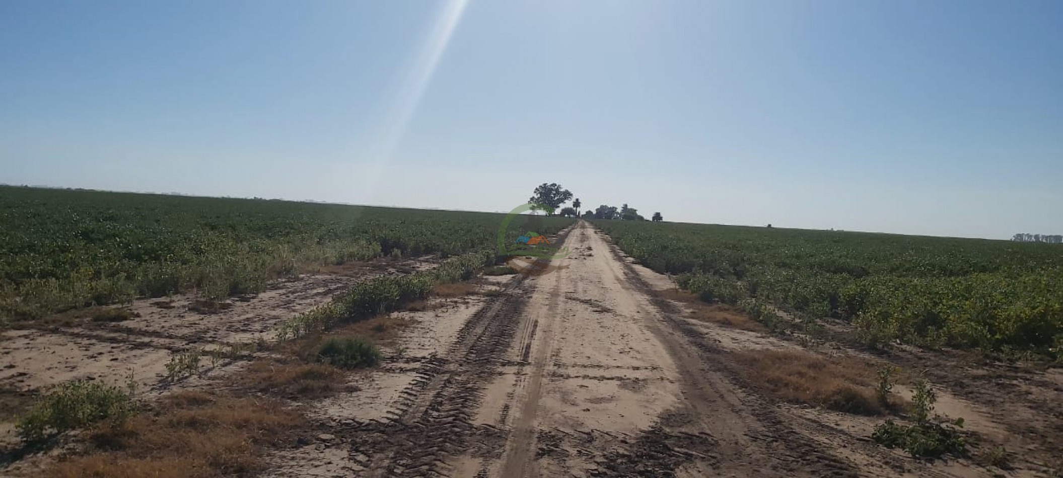180 Ha Agricolas - Marcos Juarez - Cordoba 