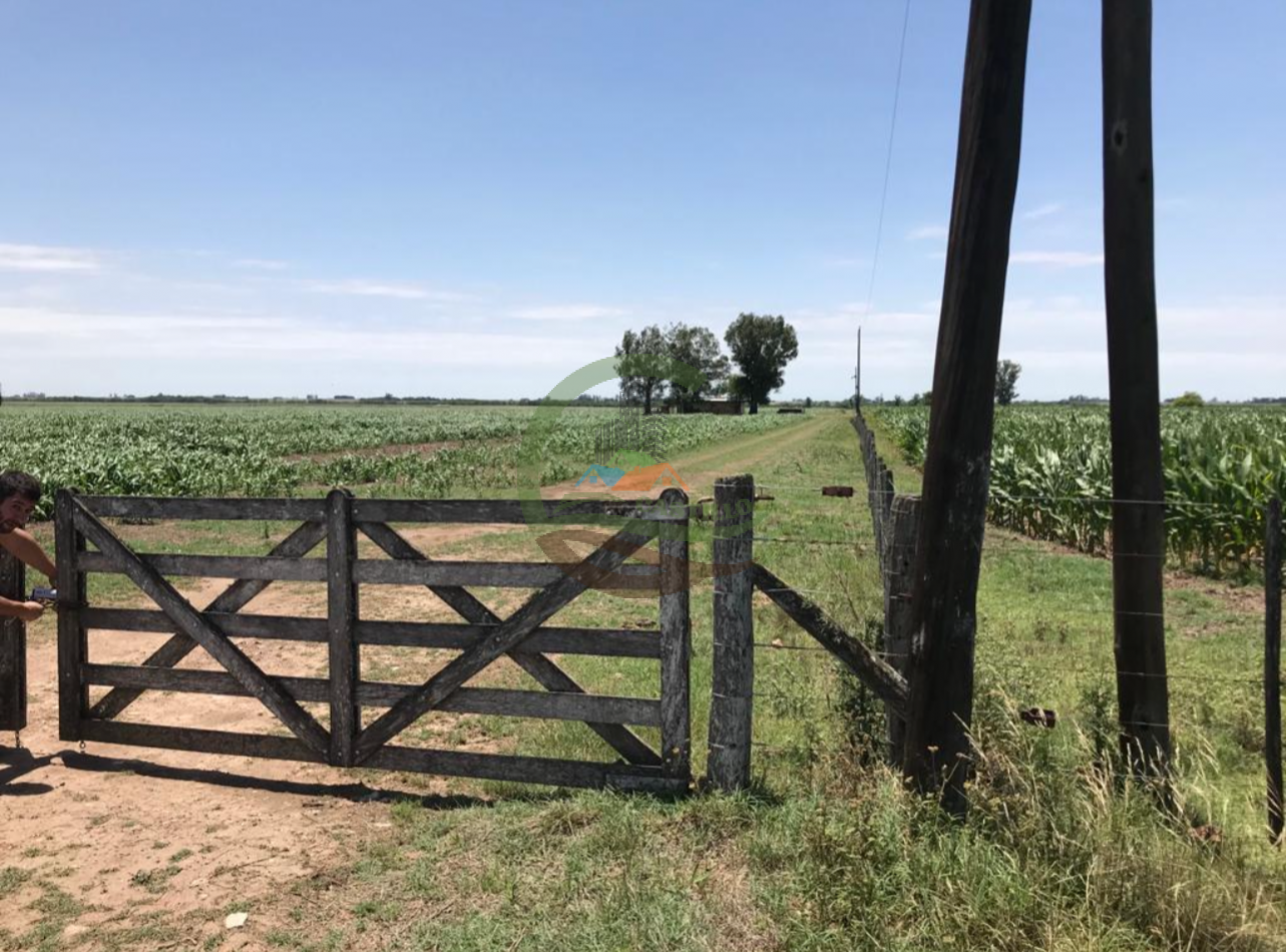 177 ha Mixtas - Pergamino 