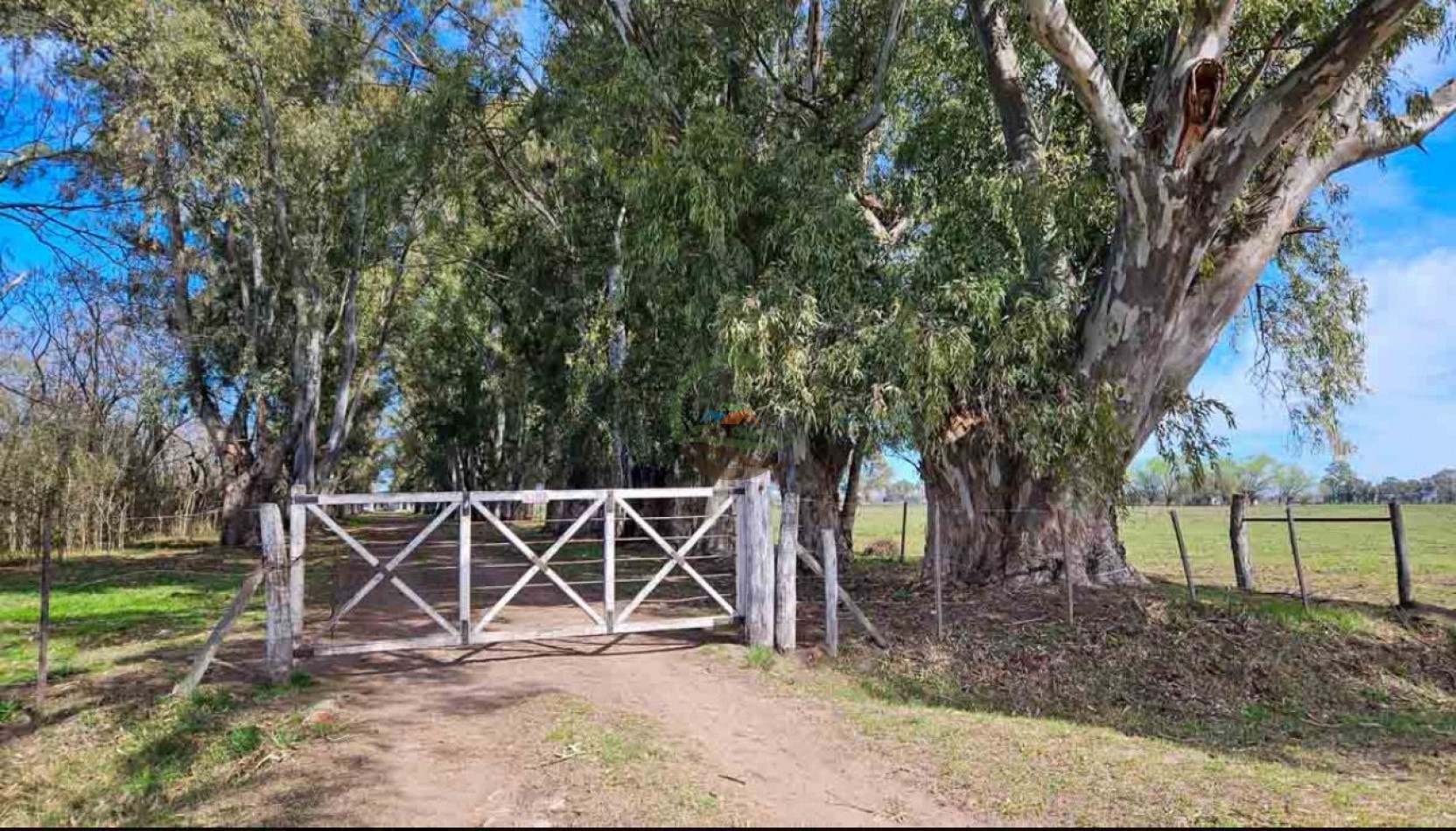 77 ha Agricolas - San Miguel De Monte