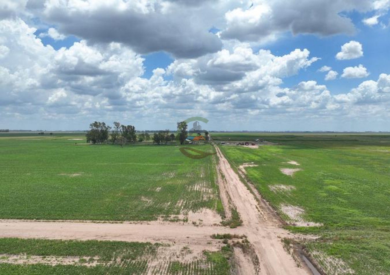 1009 ha Mixto - Rufino - Santa Fe