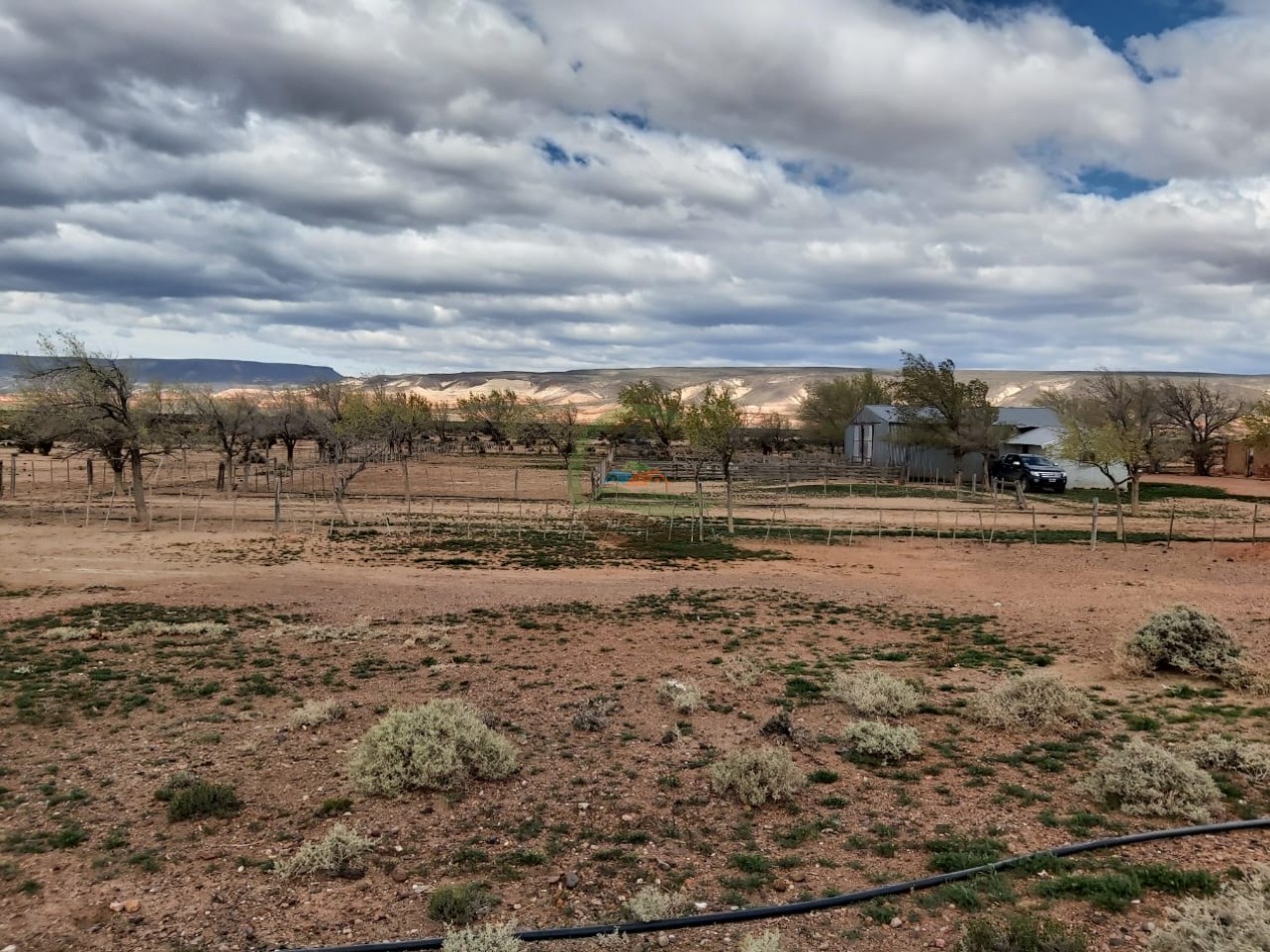 50000 ha Ganadero - Santa Cruz