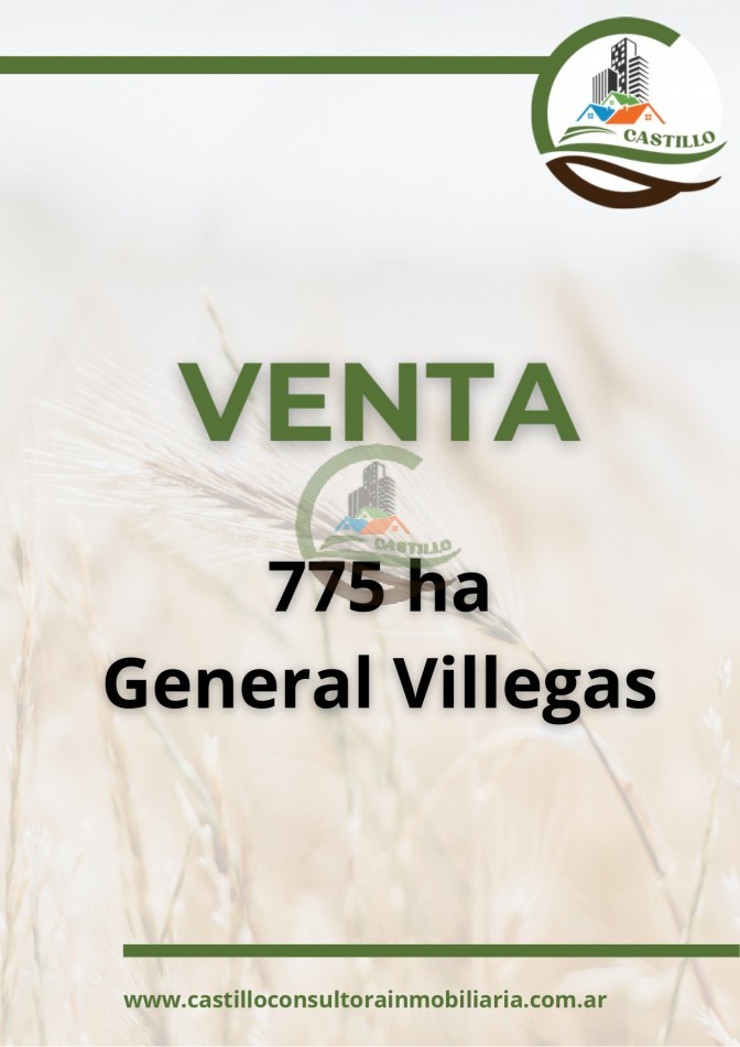 775 ha mixtas - general villegas