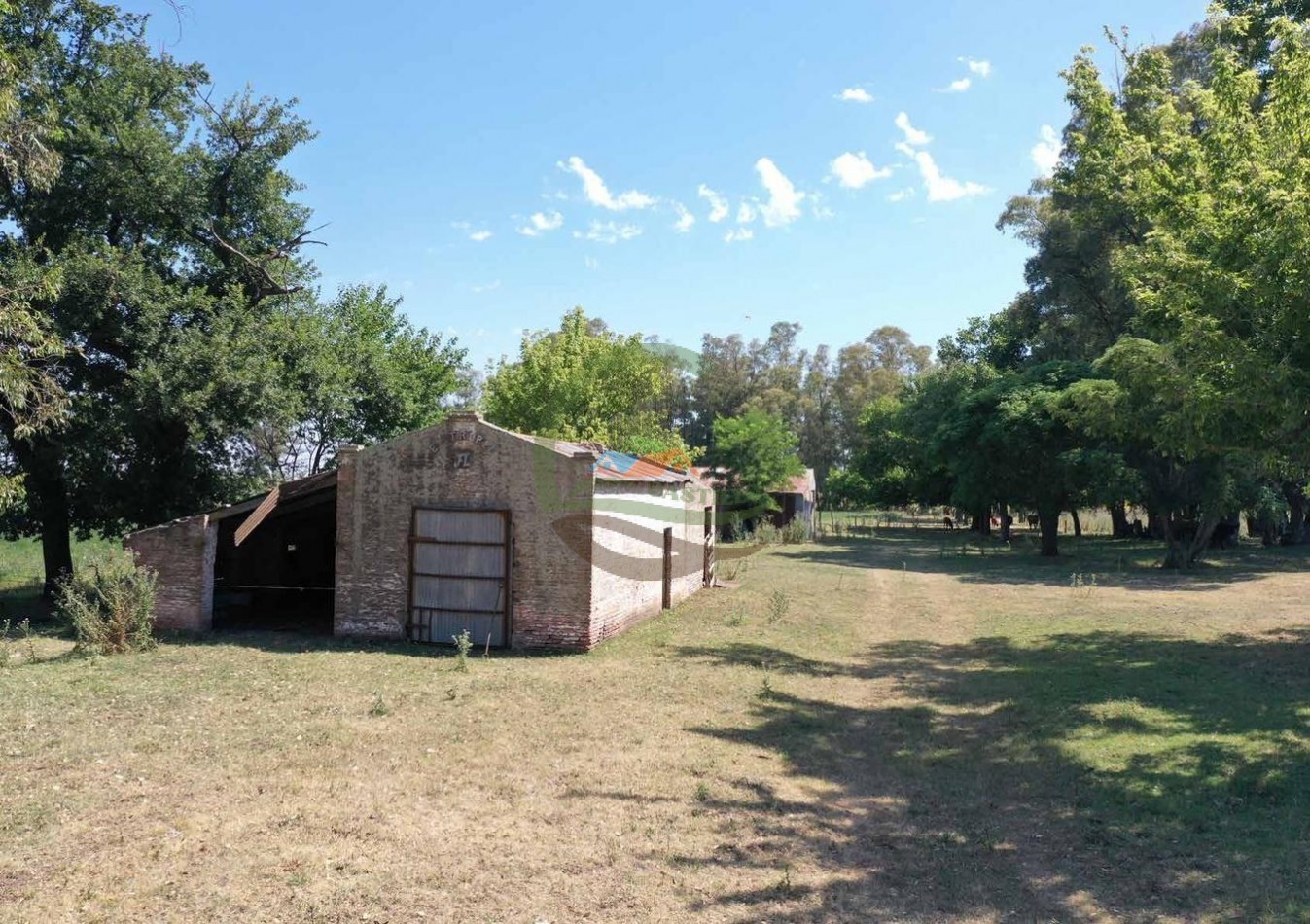 433 ha mixto - Bolivar 