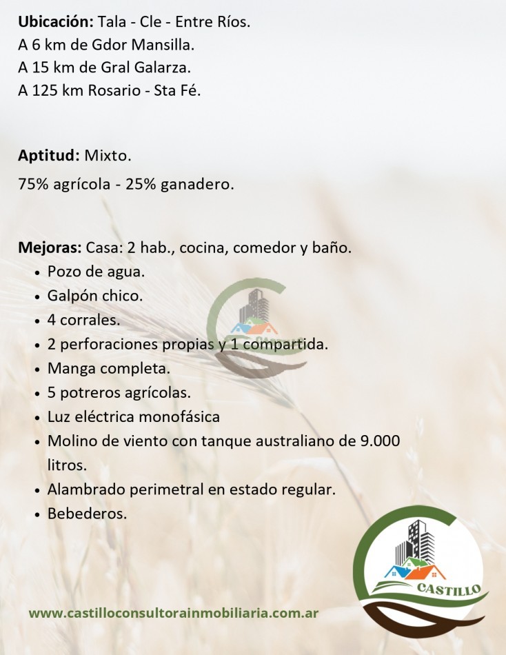 328 ha mixto - entre rios