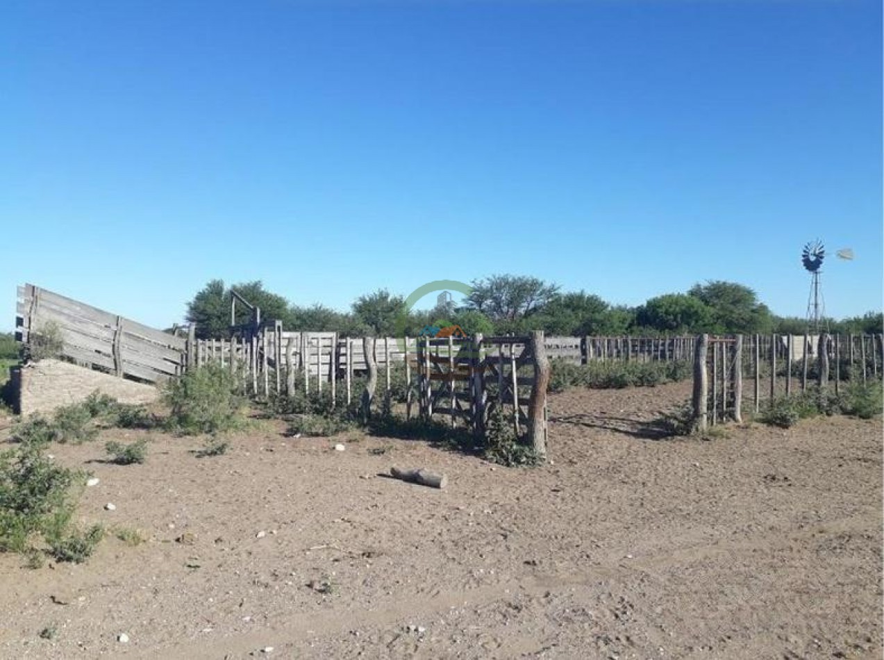 4954 Ha Ganadero - La Adela - La Pampa