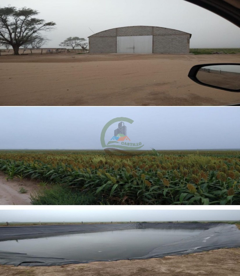 4372 ha Agricolas - San Luis
