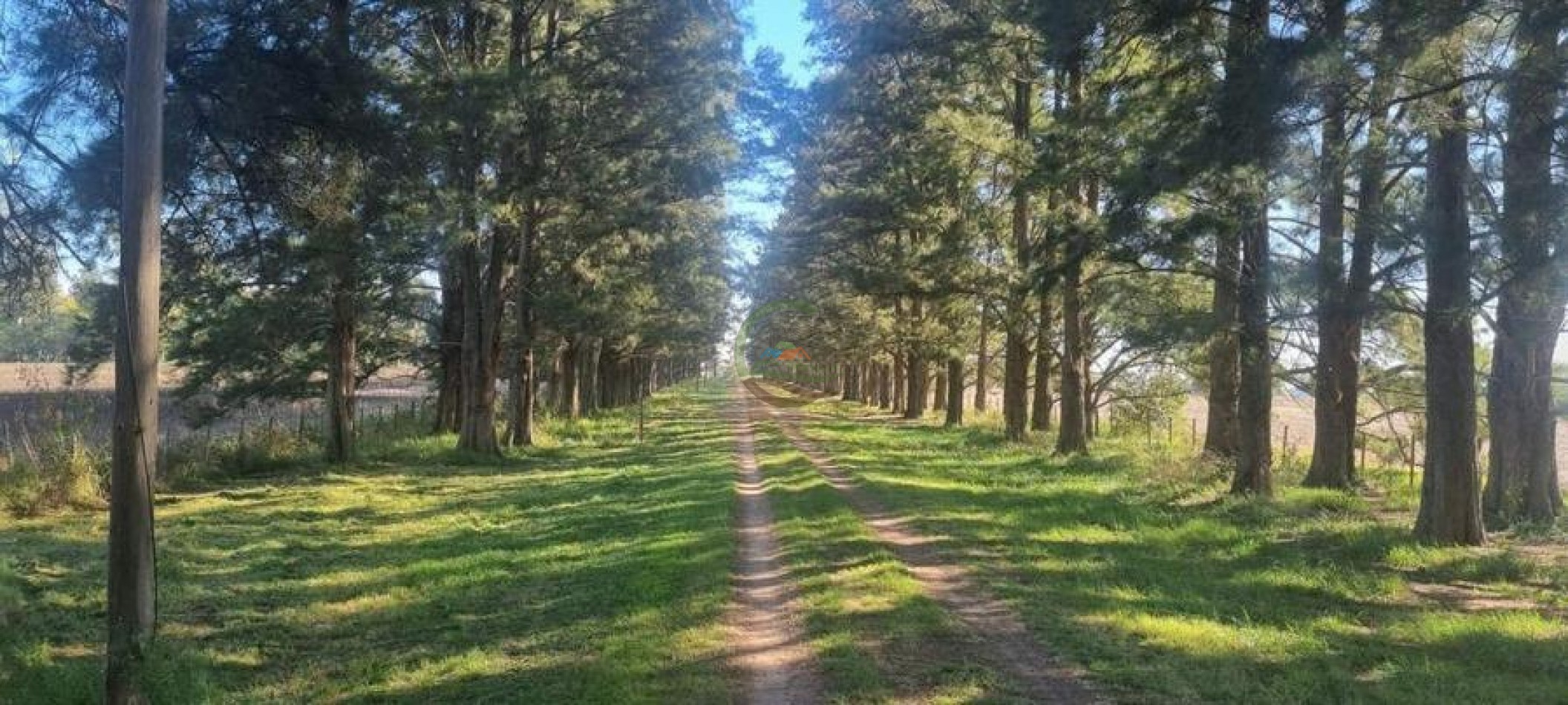 401 Ha Mixto - Lujan 