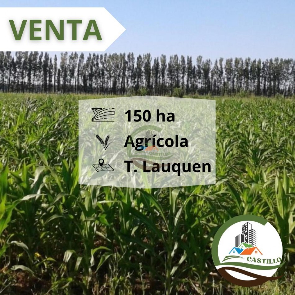 157 ha agricolas - trenque lauquen