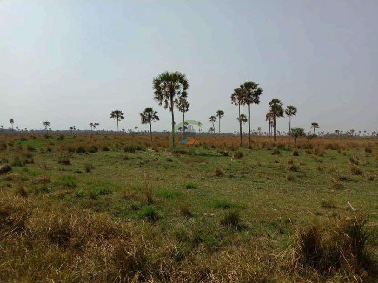 4168 Ha Mixto - San Luis del Palmar - Corrientes