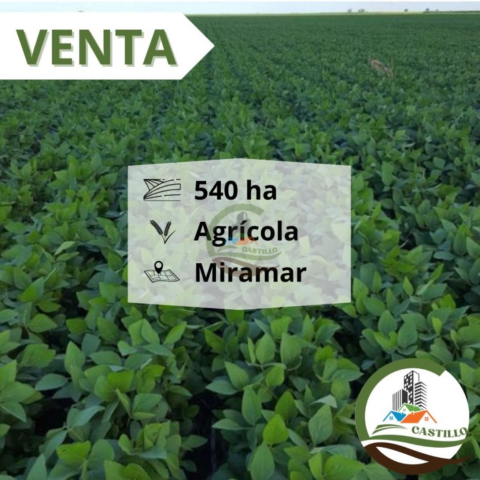 540 ha agricolas - miramar