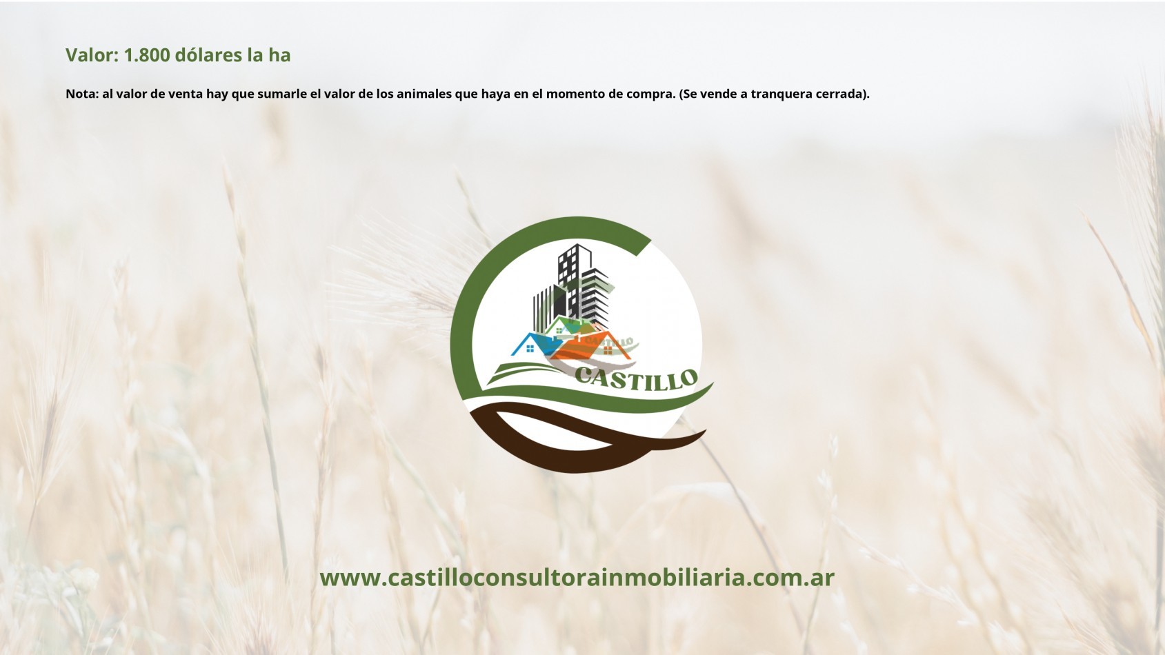 3485 ha Ganadero - Tapalque
