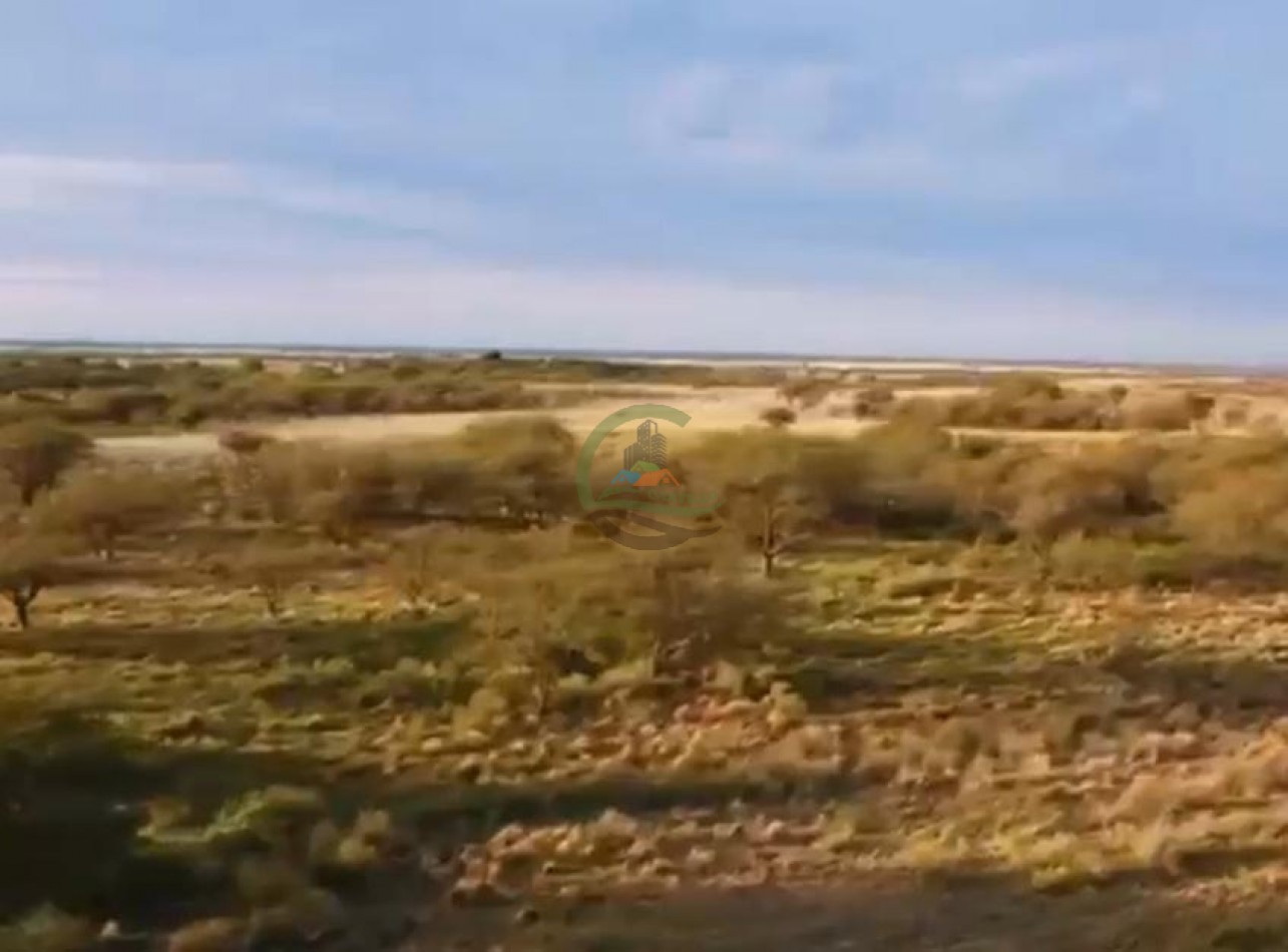 4000 Ha Coto de Caza - Hucal - La Pampa