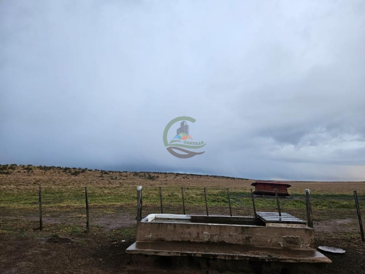 190 Ha Ganadero - Bahia Blanca