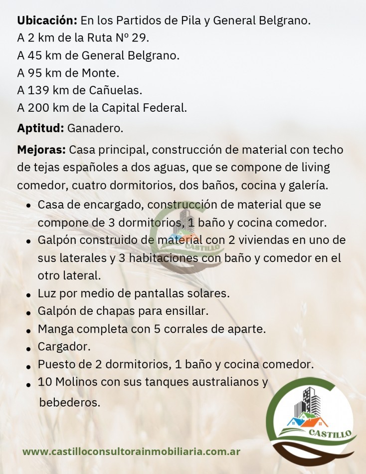 4811 ha ganandero - pila
