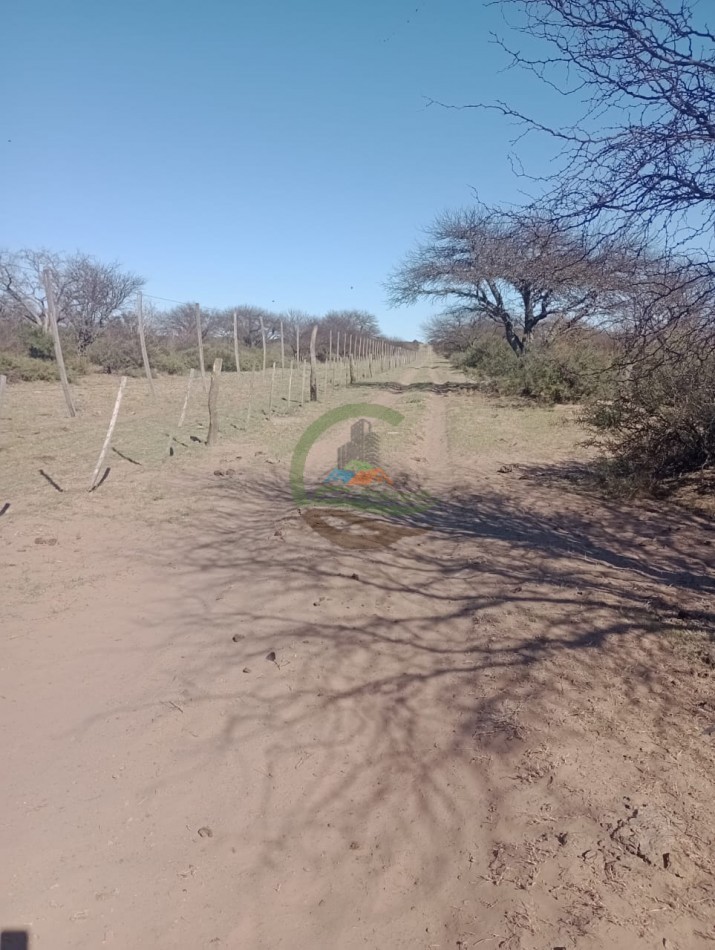2500 ha Coto de caza - Quehue - La Pampa