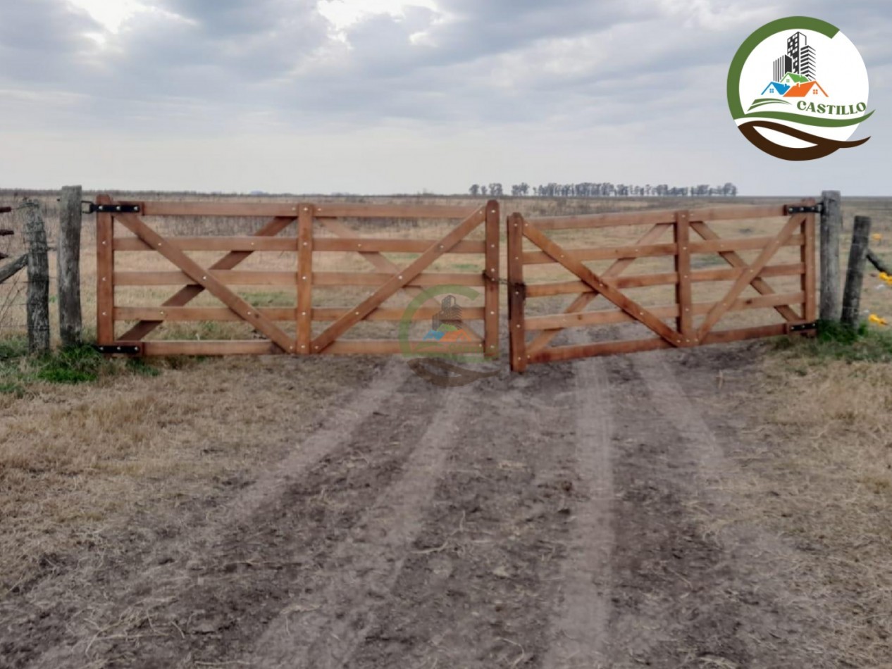 1025 ha mixta - saladillo