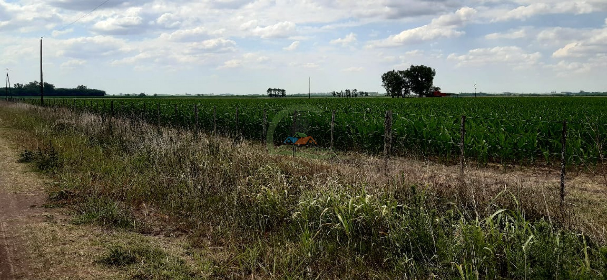 177 ha Mixtas - Pergamino 
