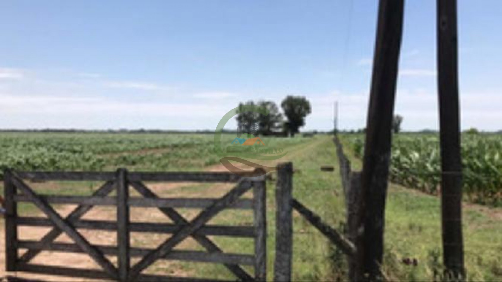 177 ha Mixtas - Pergamino 