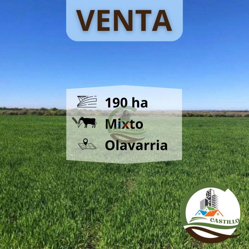198 Mixto - Olavarria
