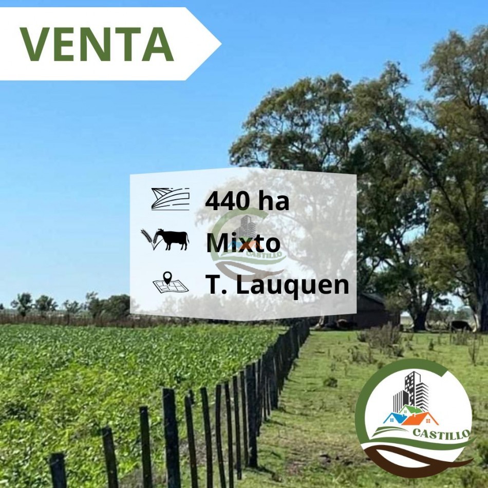 441 mixtas - trenque lauquen