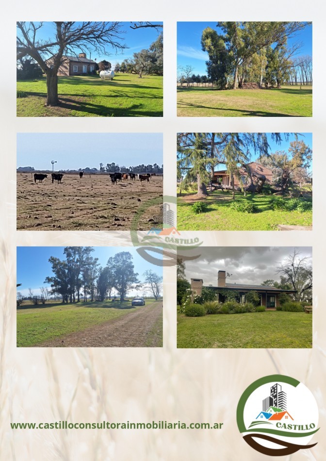 188 ha mixto - cazon