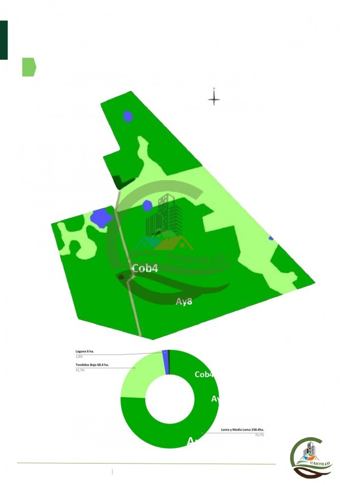 315 ha Mixto - Balcarce