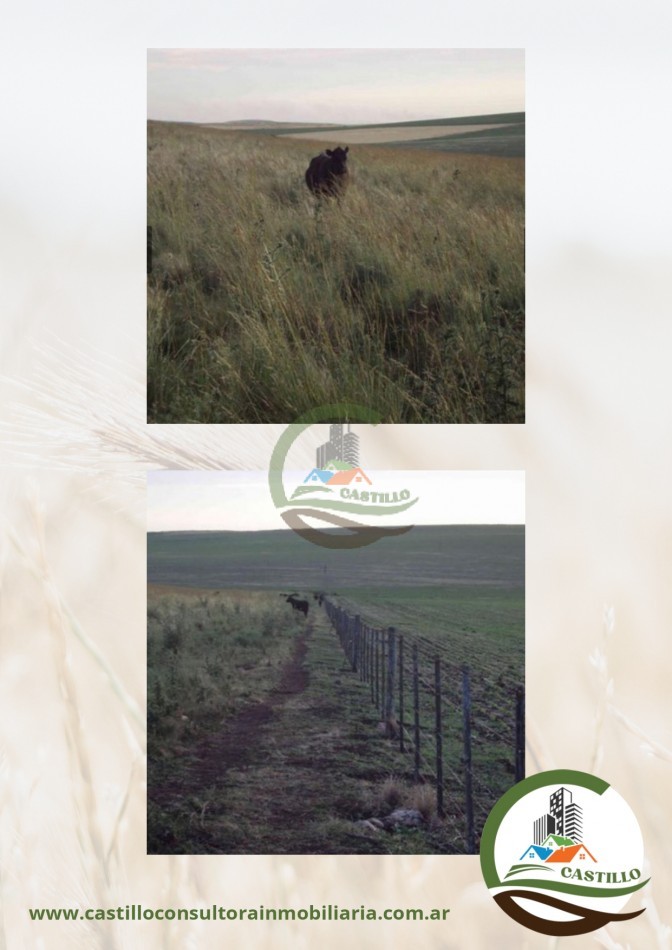 192 ha mixto - benito juarez