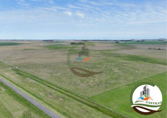 204 ha mixtas - olavarria