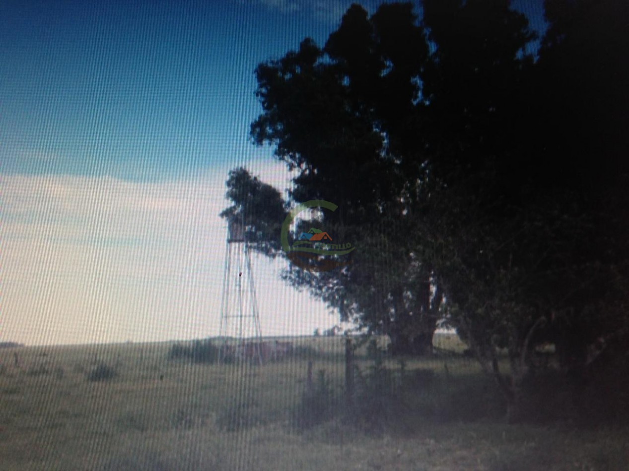 180 ha Ganadero - Las Flores